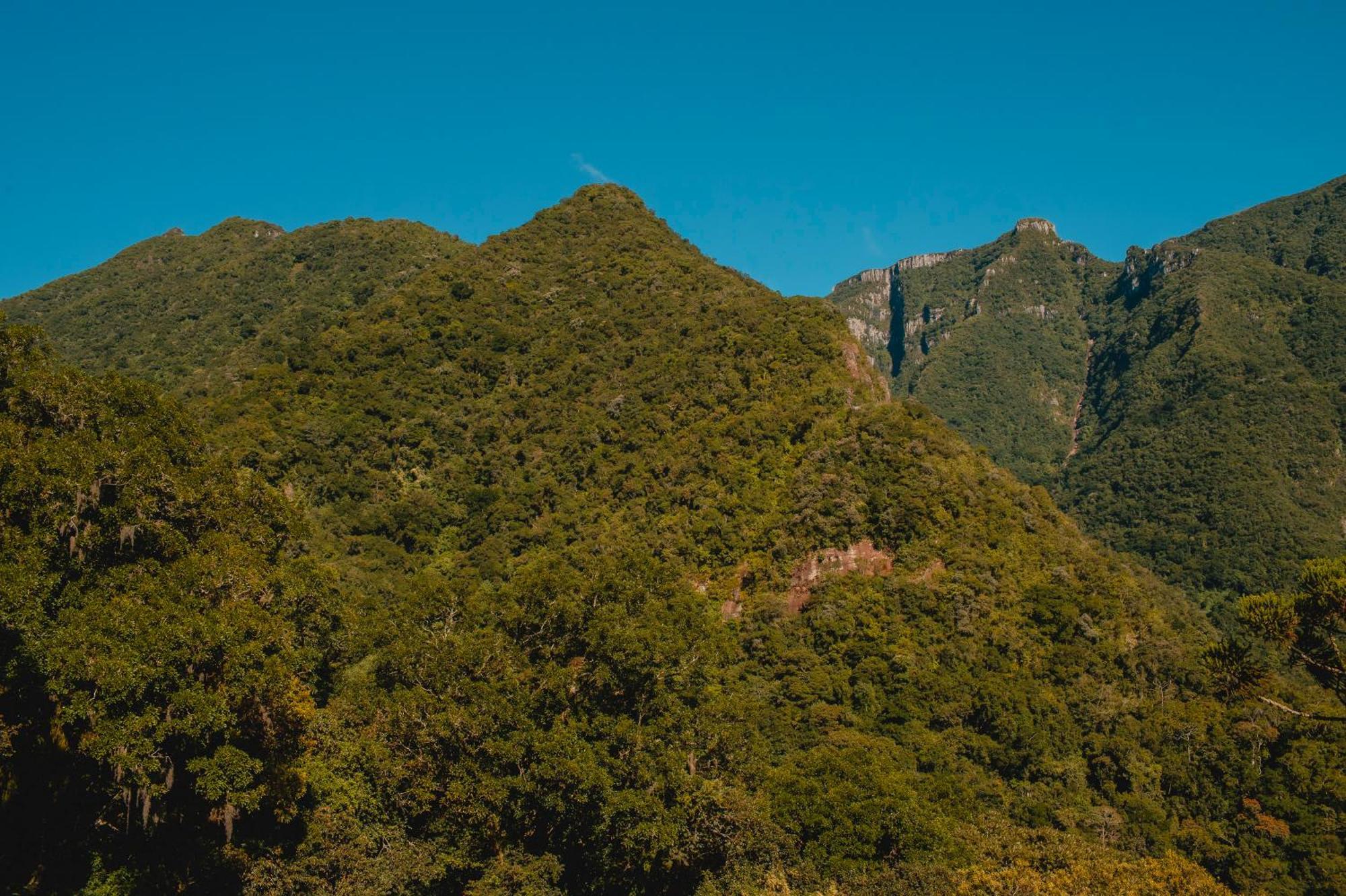 Pousada Bugio Da Serra Novo Horizonte  Exterior photo